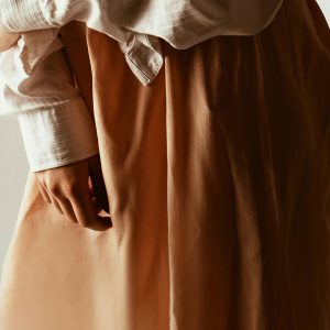 Ficus Decora Burgundy