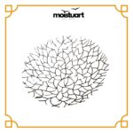 Iron Root Decorative Bowl - Image 2